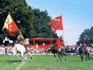 Golub-Dobrzyń