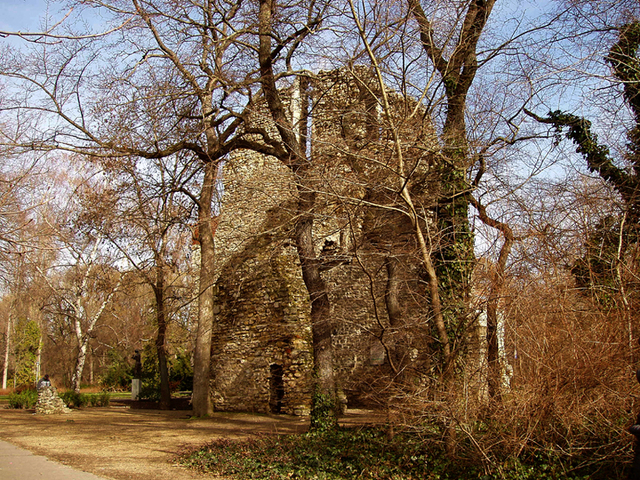 ruiny klasztoru Franciszkanów
