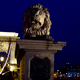 portret lwa na tle mostu