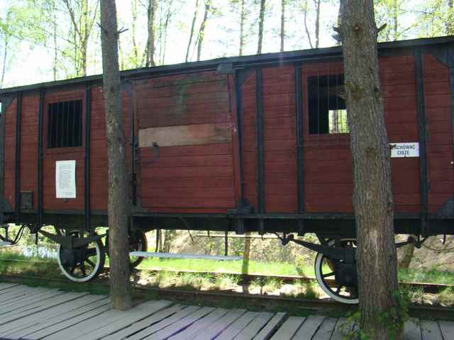 18 wagon