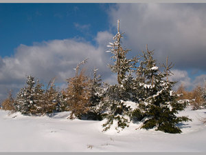 Pejzaż zima 07.03.2010r