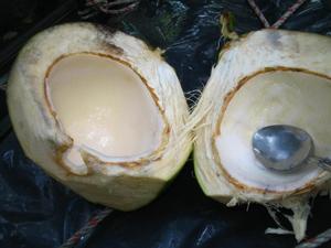 kokos ...a raczej to co po nim zostalo...