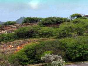 Oahu - wybrzeże nawietrzne