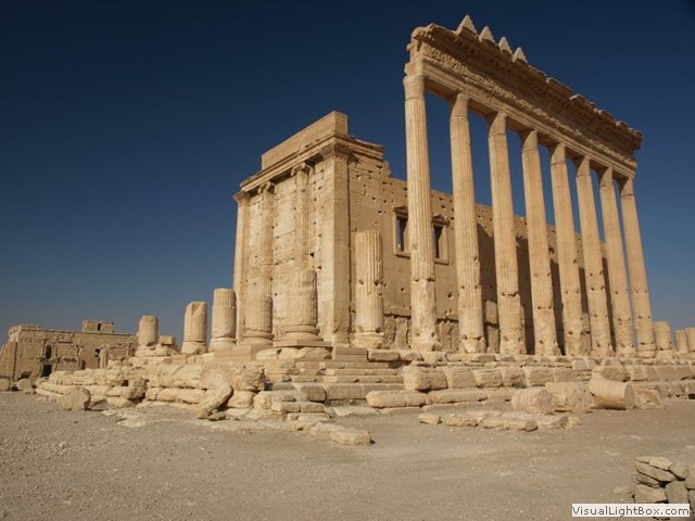 Palmyra