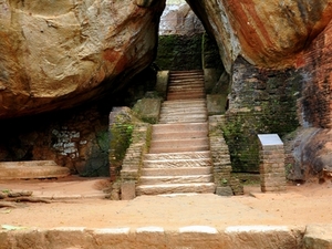 239544 - Sigiriya