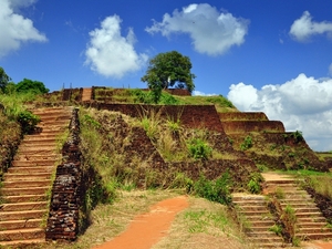 239549 - Sigiriya