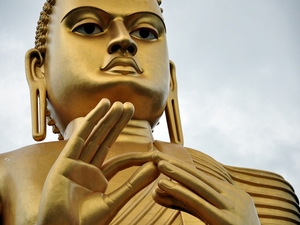 239577 - Dambulla