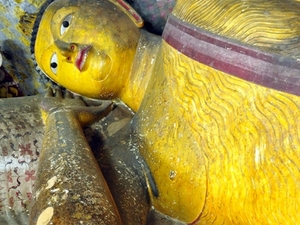 239583 - Dambulla