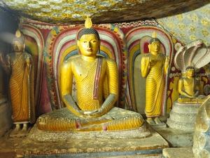 239584 - Dambulla