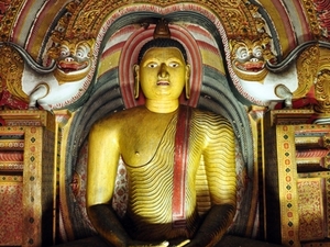 239588 - Dambulla