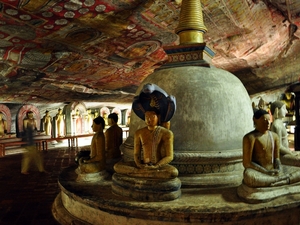 239589 - Dambulla