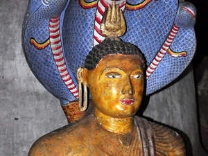 239592 - Dambulla