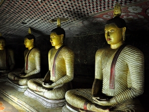 239593 - Dambulla