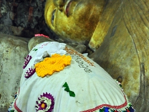 239595 - Dambulla