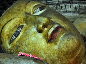 239596 - Dambulla