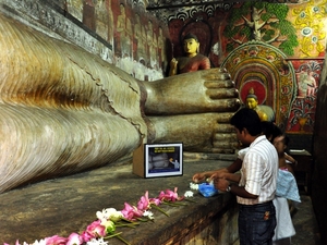 239597 - Dambulla