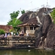 239653 - Anuradhapura