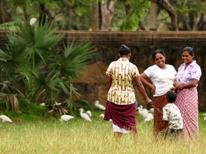 239674 - Anuradhapura