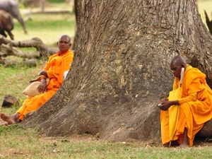 239678 - Anuradhapura