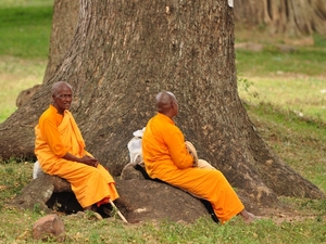 239691 - Anuradhapura