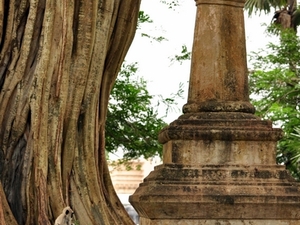 239693 - Anuradhapura