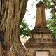 239693 - Anuradhapura