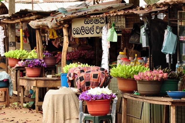 239700 - Anuradhapura