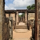 239736 - Polonnaruwa