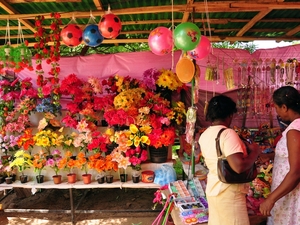 239745 - Polonnaruwa