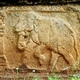 239755 - Polonnaruwa