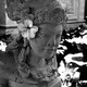 Dsc 0205 bw