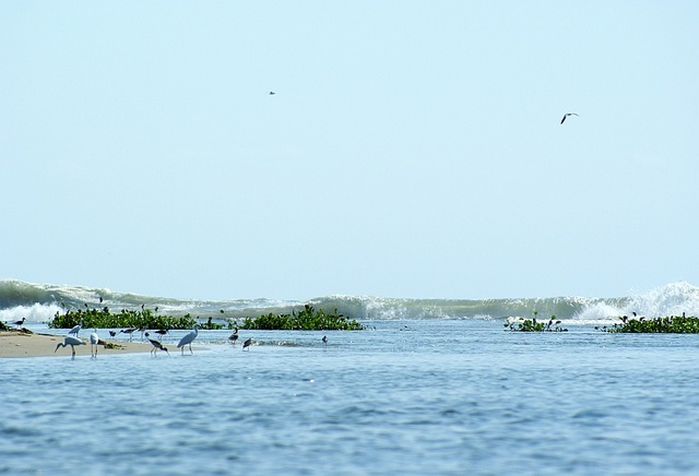 Ocean i Laguna de Coyuca