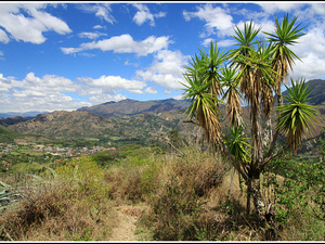 Ecuador 2476