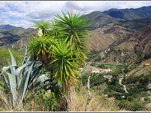 Ecuador 2478