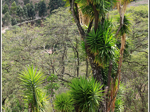 Ecuador 2499