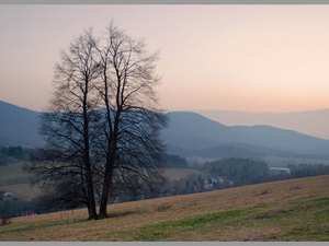 pejzaż górski 