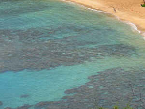 Oahu - wybrzeże nawietrzne