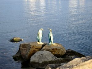 Hobart-pomnik...pingwinów - tu  jest  centrum  badań antarktycznych