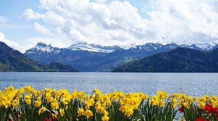 Weggis widok na Jezioro Czterech Kantonów i Alpy