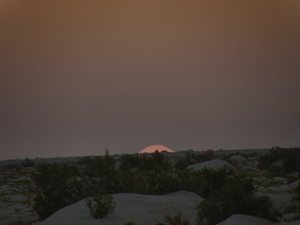 Sahara-wschód nad słonym  jeziorem  Shot Djerid
