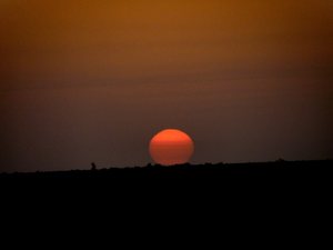 Sahara-wschód nad słonym  jeziorem  Shot Djerid