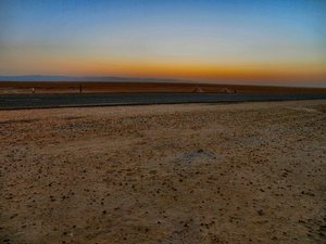 Sahara-słone  jezioro  Shot Djerid