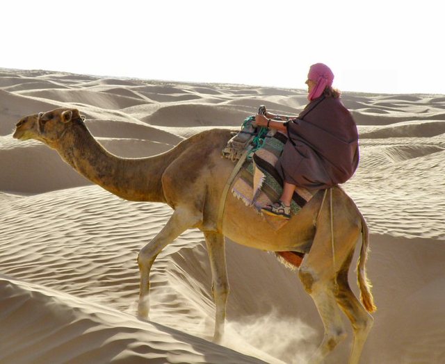 Sahara - na  pierwszym  biegu