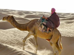 Sahara - na  pierwszym  biegu