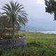 Kibuc nad Jeziorem Galilejskim