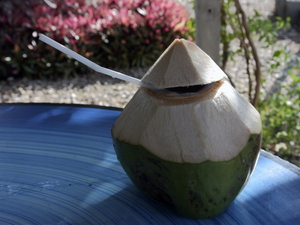 płynny kokos