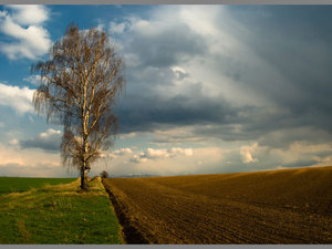 Zawidowskie klimaty 