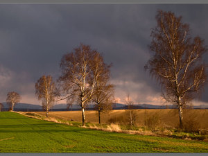 Zawidowskie klimaty 