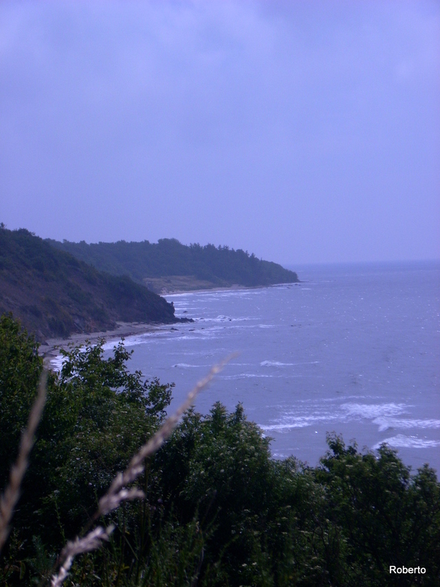 Dscn0097