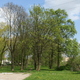 pozostałości parku przy dworze